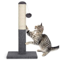 Cat Scratcher